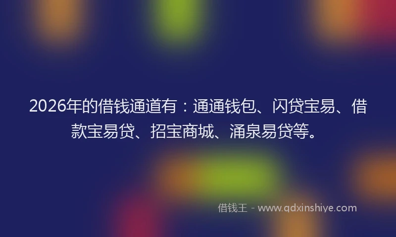 2026年的借钱通道有：通通钱包、闪贷宝易、借款宝易贷、招宝商城、涌泉易贷等。