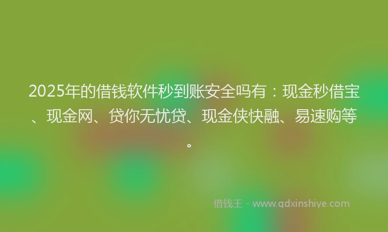 2025年的借钱软件秒到账安全吗有：现金秒借宝、现金网、贷你无忧贷、现金侠快融、易速购等。