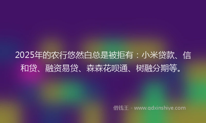 2025年的农行悠然白总是被拒有:小米贷款、信和贷、融资易贷、森森花呗通、树融分期等。