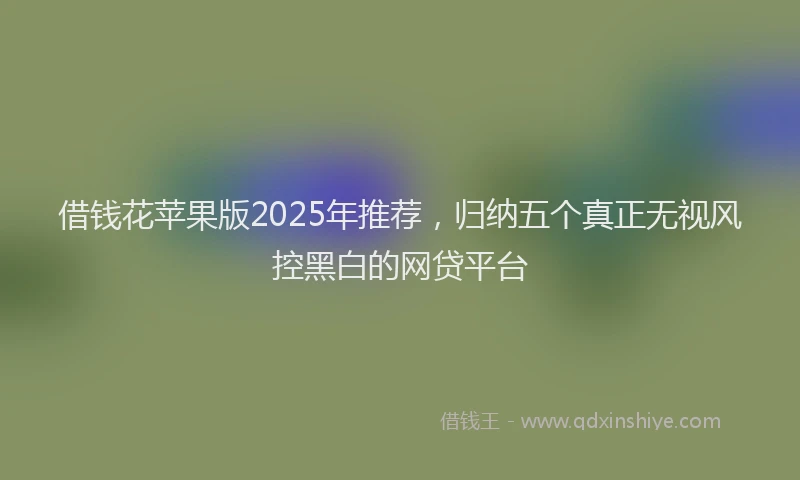 借钱花苹果版2025年推荐,归纳五个真正无视风控黑白的网贷平台