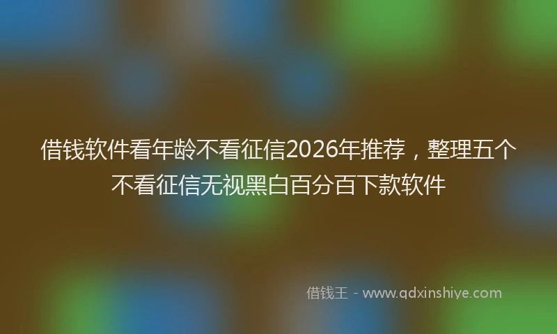 借钱软件看年龄不看征信2026年推荐，整理五个不看征信无视黑白百分百下款软件