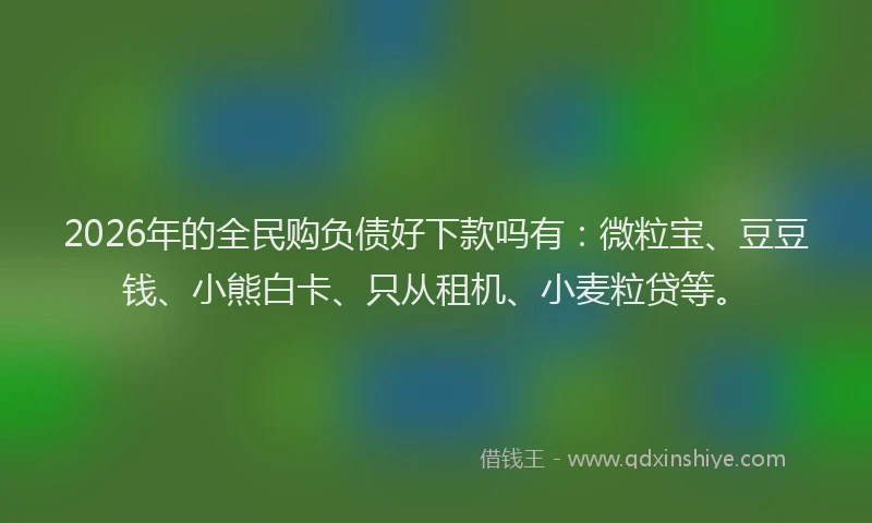 2026年的全民购负债好下款吗有:微粒宝、豆豆钱、小熊白卡、只从租机、小麦粒贷等。
