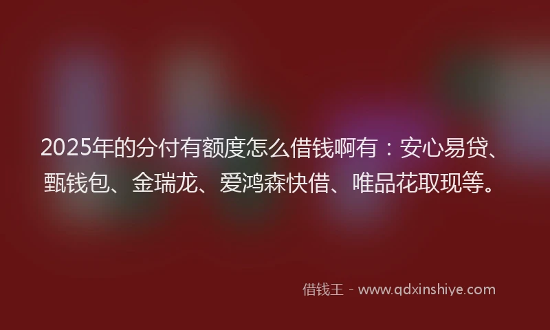 2025年的分付有额度怎么借钱啊有：安心易贷、甄钱包、金瑞龙、爱鸿森快借、唯品花取现等。