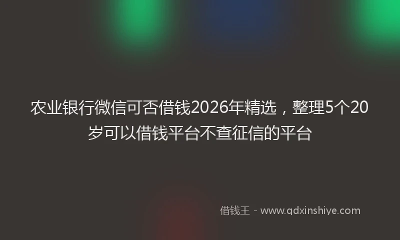 农业银行微信可否借钱2026年精选，整理5个20岁可以借钱平台不查征信的平台