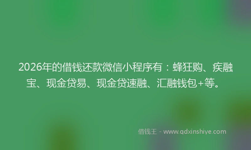 2026年的借钱还款微信小程序有：蜂狂购、疾融宝、现金贷易、现金贷速融、汇融钱包+等。