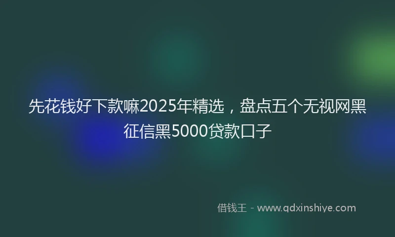 先花钱好下款嘛2025年精选，盘点五个无视网黑征信黑5000贷款口子