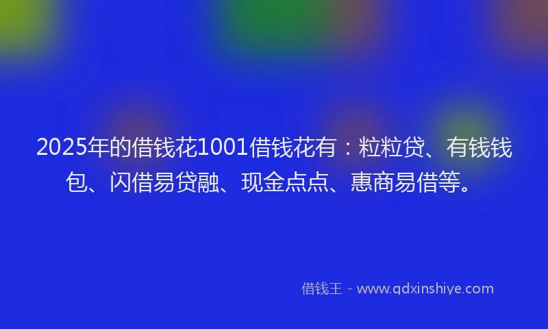 2025年的借钱花1001借钱花有：粒粒贷、有钱钱包、闪借易贷融、现金点点、惠商易借等。