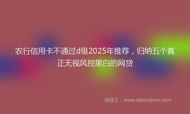 农行信用卡不通过d级2025年推荐，归纳五个真正无视风控黑白的网贷