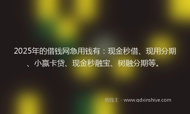 2025年的借钱网急用钱有：现金秒借、现用分期、小赢卡贷、现金秒融宝、树融分期等。