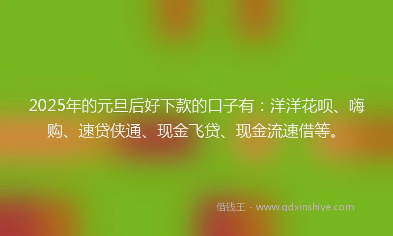 2025年的元旦后好下款的口子有：洋洋花呗、嗨购、速贷侠通、现金飞贷、现金流速借等。