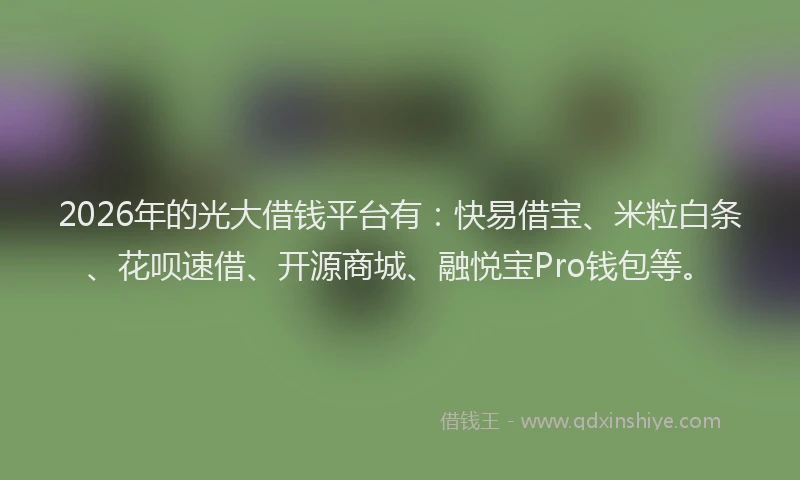 2026年的光大借钱平台有：快易借宝、米粒白条、花呗速借、开源商城、融悦宝Pro钱包等。
