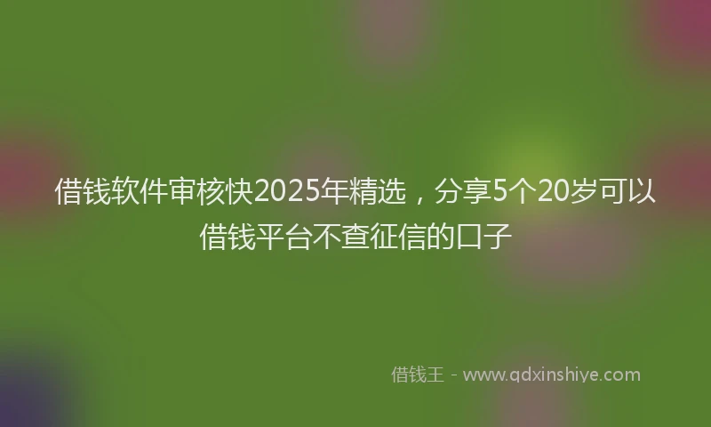 借钱软件审核快2025年精选，分享5个20岁可以借钱平台不查征信的口子