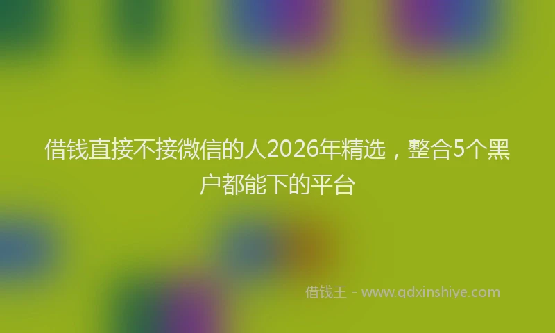 借钱直接不接微信的人2026年精选，整合5个黑户都能下的平台