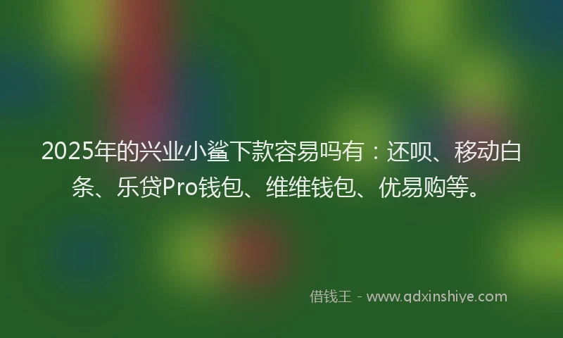 2025年的兴业小鲨下款容易吗有：还呗、移动白条、乐贷Pro钱包、维维钱包、优易购等。