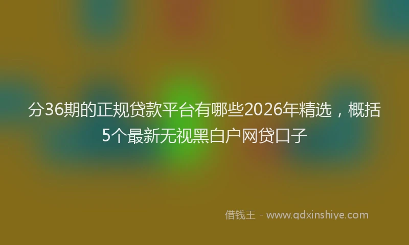 分36期的正规贷款平台有哪些2026年精选，概括5个最新无视黑白户网贷口子
