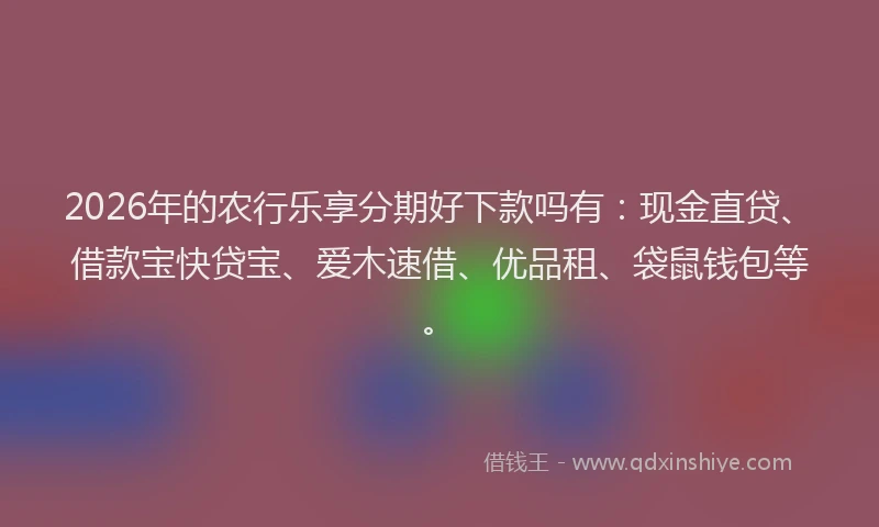 2026年的农行乐享分期好下款吗有:现金直贷、借款宝快贷宝、爱木速借、优品租、袋鼠钱包等。