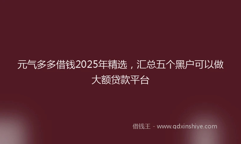 元气多多借钱2025年精选，汇总五个黑户可以做大额贷款平台