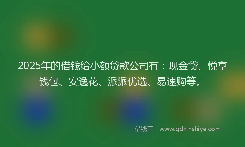 2025年的借钱给小额贷款公司有:现金贷、悦享钱包、安逸花、派派优选、易速购等。