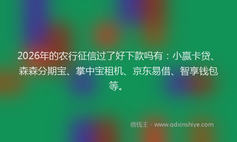 2026年的农行征信过了好下款吗有:小赢卡贷、森森分期宝、掌中宝租机、京东易借、智享钱包等。