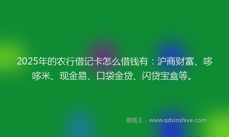 2025年的农行借记卡怎么借钱有：沪商财富、哆哆米、现金易、口袋金贷、闪贷宝盒等。