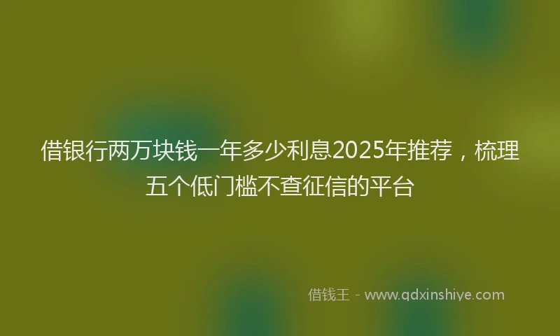 借银行两万块钱一年多少利息2025年推荐，梳理五个低门槛不查征信的平台