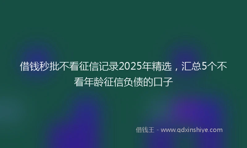 借钱秒批不看征信记录2025年精选,汇总5个不看年龄征信负债的口子