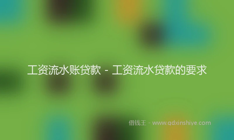 工资流水账贷款 - 工资流水贷款的要求