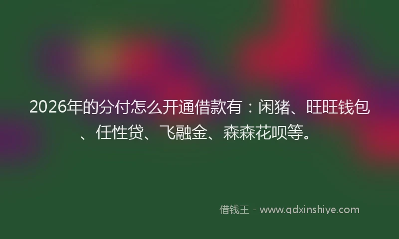 2026年的分付怎么开通借款有：闲猪、旺旺钱包、任性贷、飞融金、森森花呗等。