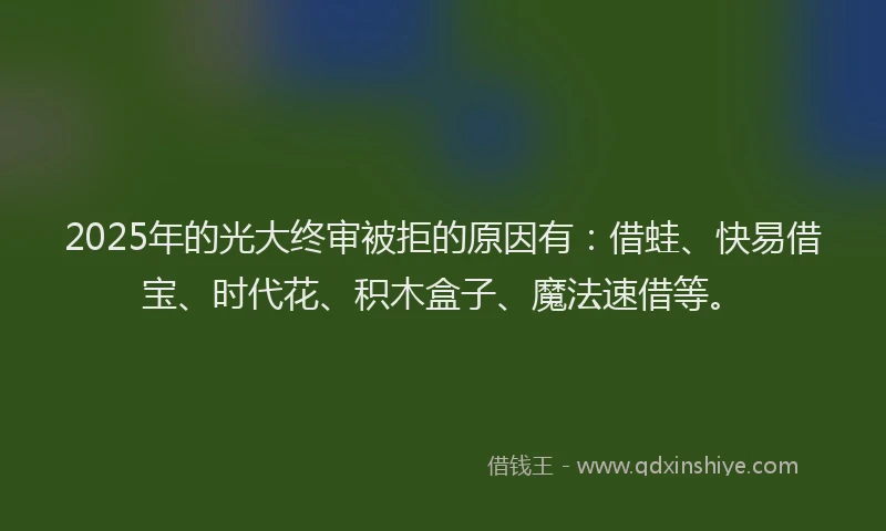 2025年的光大终审被拒的原因有：借蛙、快易借宝、时代花、积木盒子、魔法速借等。