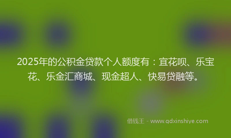 2025年的公积金贷款个人额度有：宜花呗、乐宝花、乐金汇商城、现金超人、快易贷融等。
