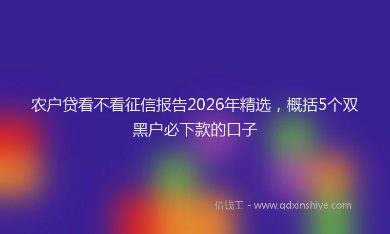 农户贷看不看征信报告2026年精选，概括5个双黑户必下款的口子