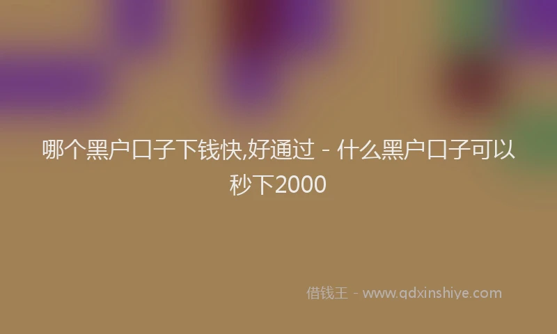 哪个黑户口子下钱快,好通过 - 什么黑户口子可以秒下2000