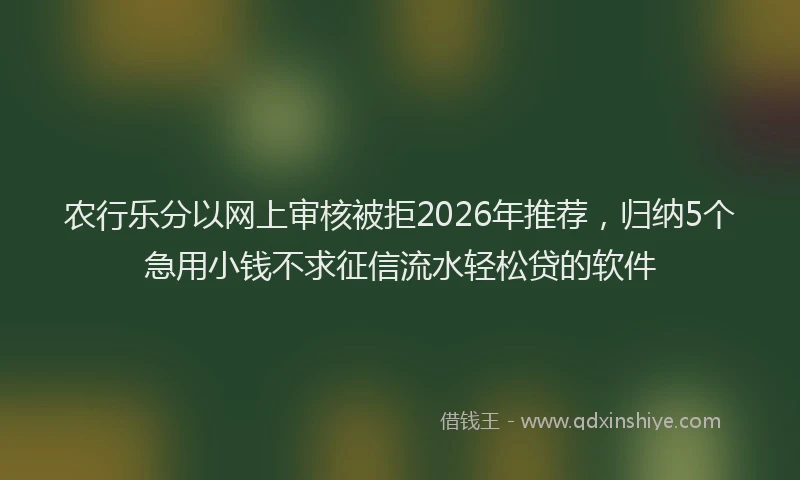 农行乐分以网上审核被拒2026年推荐，归纳5个急用小钱不求征信流水轻松贷的软件