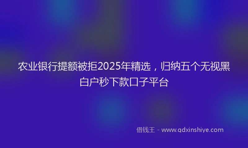 农业银行提额被拒2025年精选，归纳五个无视黑白户秒下款口子平台