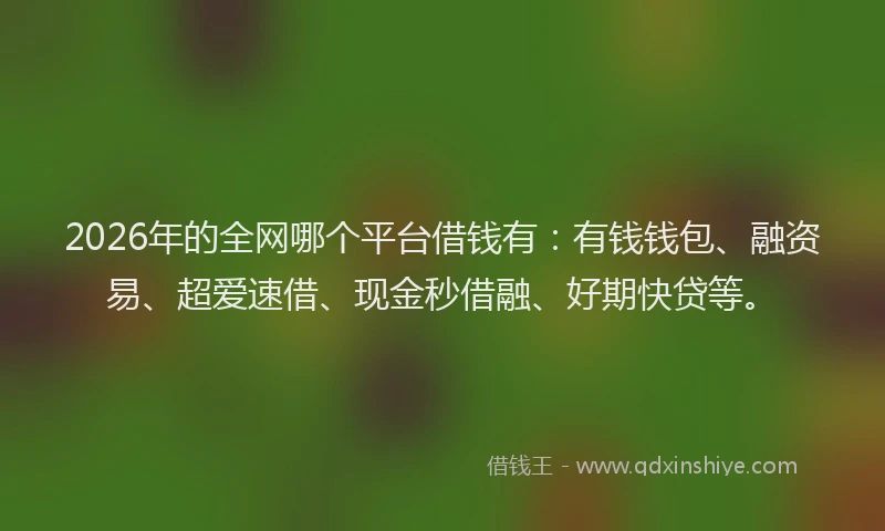 2026年的全网哪个平台借钱有：有钱钱包、融资易、超爱速借、现金秒借融、好期快贷等。