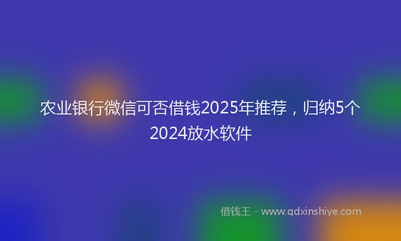 农业银行微信可否借钱2025年推荐，归纳5个2024放水软件