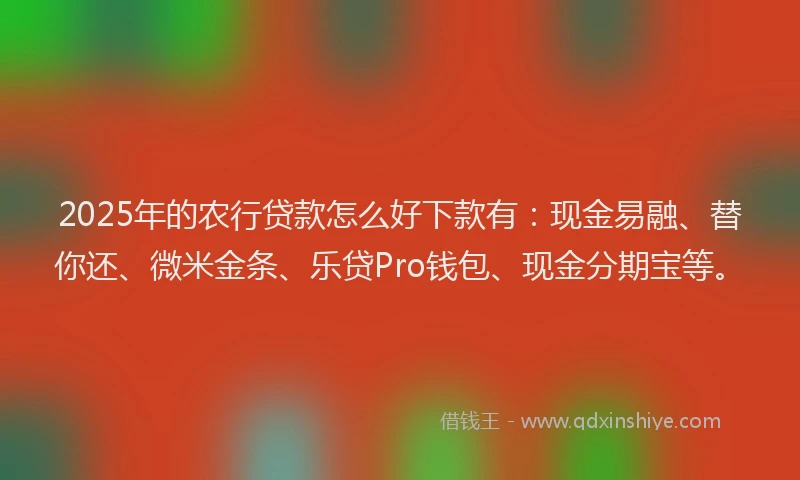 2025年的农行贷款怎么好下款有:现金易融、替你还、微米金条、乐贷Pro钱包、现金分期宝等。