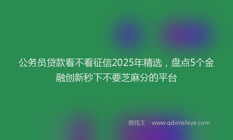 公务员贷款看不看征信2025年精选，盘点5个金融创新秒下不要芝麻分的平台