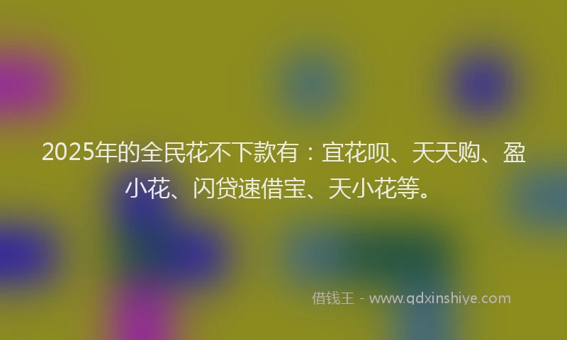 2025年的全民花不下款有：宜花呗、天天购、盈小花、闪贷速借宝、天小花等。