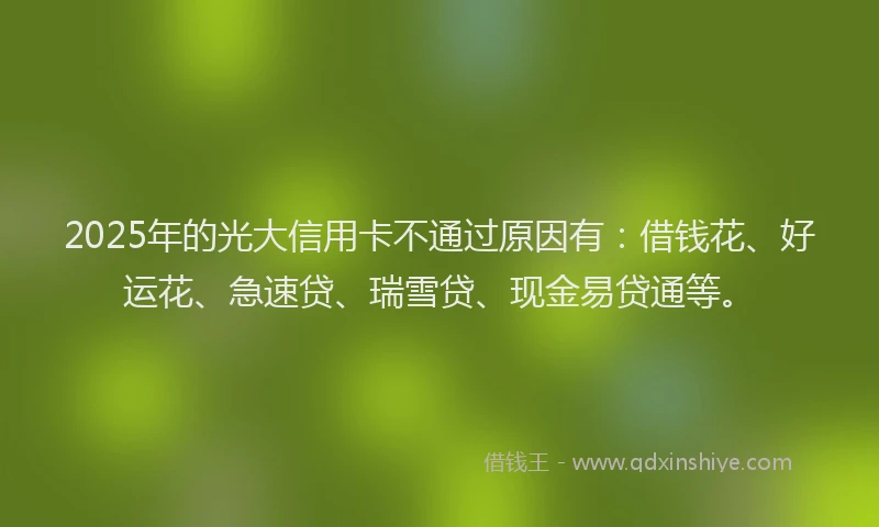 2025年的光大信用卡不通过原因有：借钱花、好运花、急速贷、瑞雪贷、现金易贷通等。