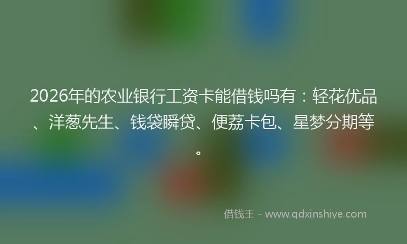2026年的农业银行工资卡能借钱吗有:轻花优品、洋葱先生、钱袋瞬贷、便荔卡包、星梦分期等。