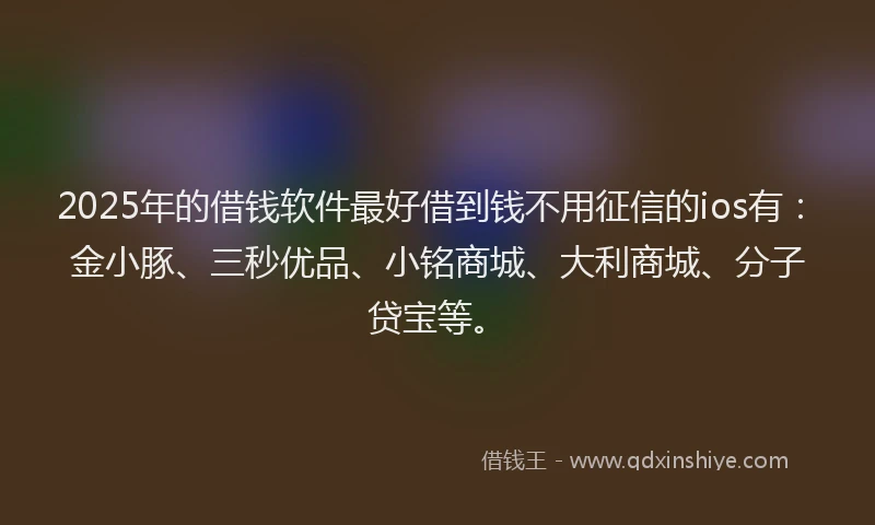 2025年的借钱软件最好借到钱不用征信的ios有:金小豚、三秒优品、小铭商城、大利商城、分子贷宝等。