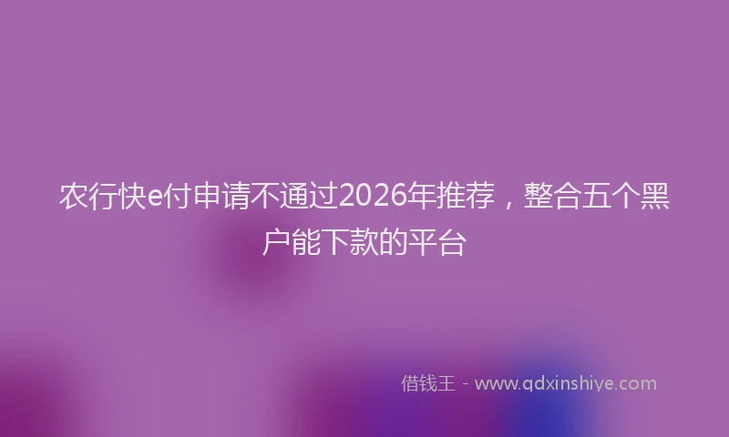农行快e付申请不通过2026年推荐，整合五个黑户能下款的平台