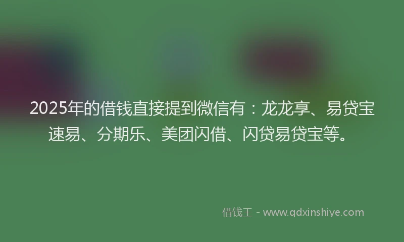 2025年的借钱直接提到微信有：龙龙享、易贷宝速易、分期乐、美团闪借、闪贷易贷宝等。