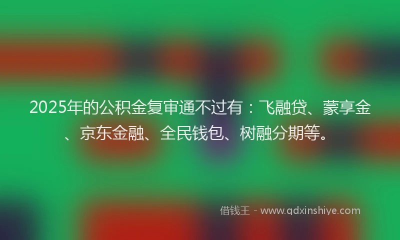 2025年的公积金复审通不过有:飞融贷、蒙享金、京东金融、全民钱包、树融分期等。
