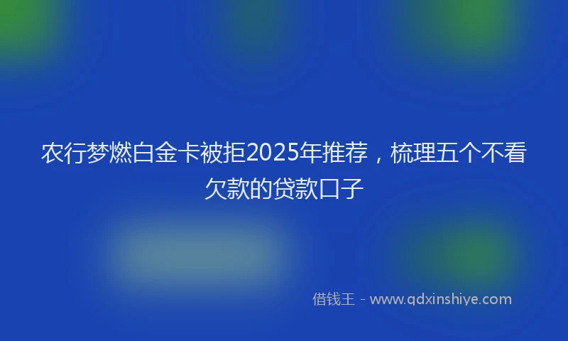 农行梦燃白金卡被拒2025年推荐，梳理五个不看欠款的贷款口子