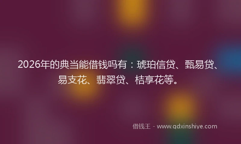 2026年的典当能借钱吗有:琥珀信贷、甄易贷、易支花、翡翠贷、桔享花等。