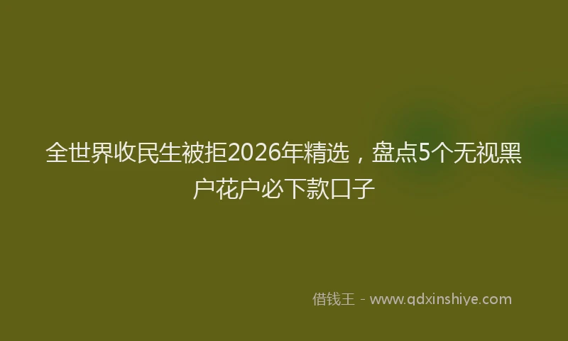 全世界收民生被拒2026年精选，盘点5个无视黑户花户必下款口子