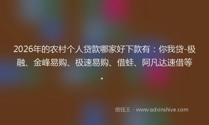 2026年的农村个人贷款哪家好下款有:你我贷-极融、金峰易购、极速易购、借蛙、阿凡达速借等。
