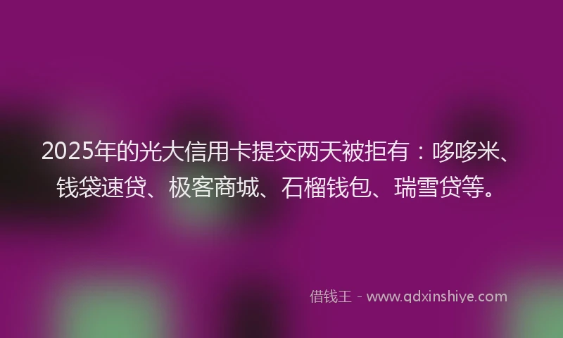 2025年的光大信用卡提交两天被拒有：哆哆米、钱袋速贷、极客商城、石榴钱包、瑞雪贷等。
